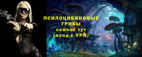 МДПВ Беломорск