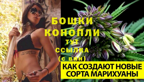 первитин Белоозёрский