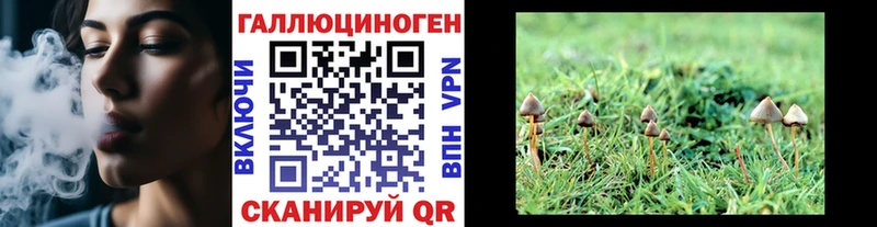Галлюциногенные грибы мухоморы магазин Красный Холм